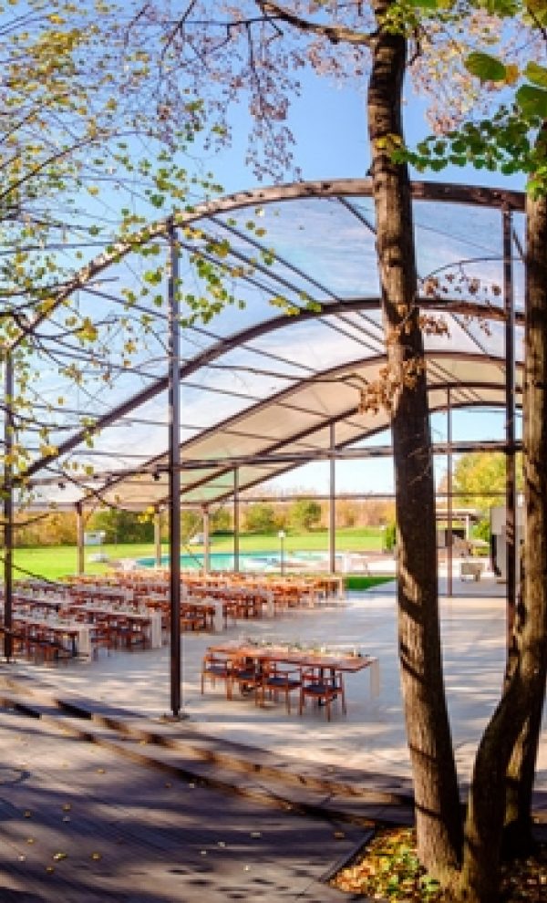 Nunta in padure piscina TreeHouse Lagoon