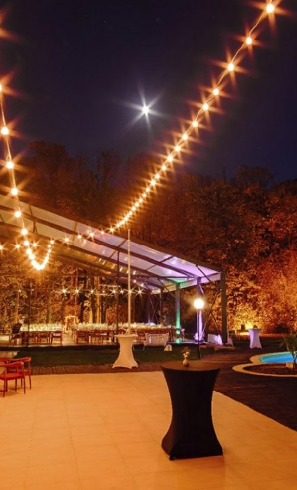 Nunta in padure piscina TreeHouse Lagoon