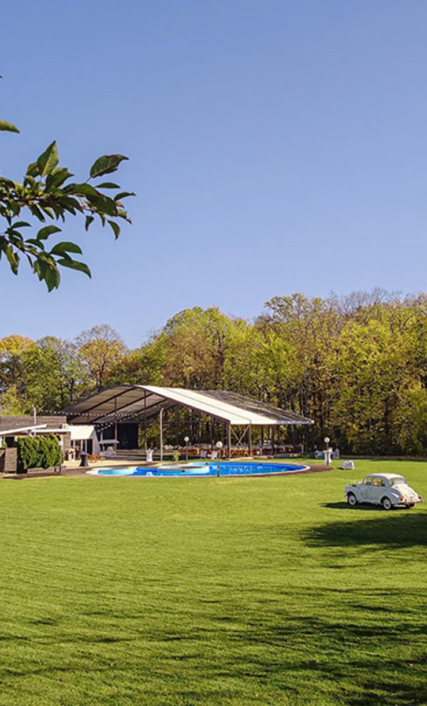 Nunta in padure piscina TreeHouse Lagoon