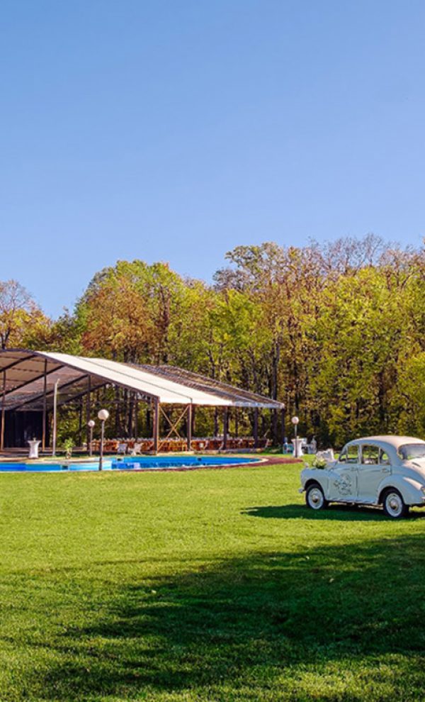 Nunta in padure piscina TreeHouse Lagoon