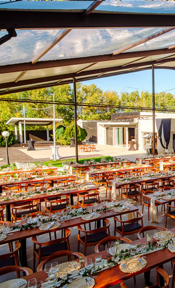 Nunta in padure piscina TreeHouse Lagoon