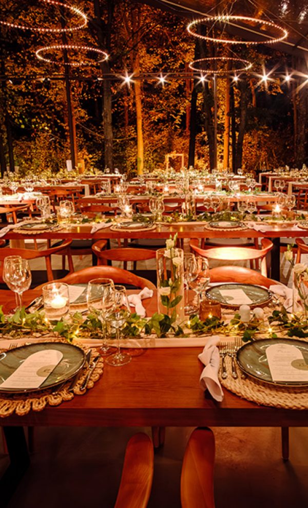 Nunta in padure piscina TreeHouse Lagoon