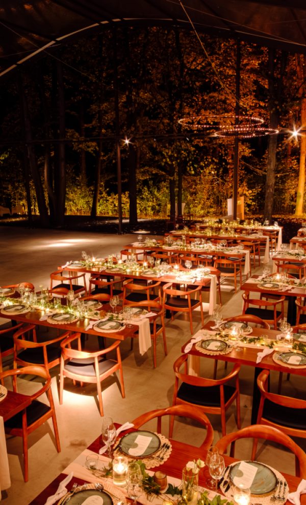 Nunta in padure piscina TreeHouse Lagoon