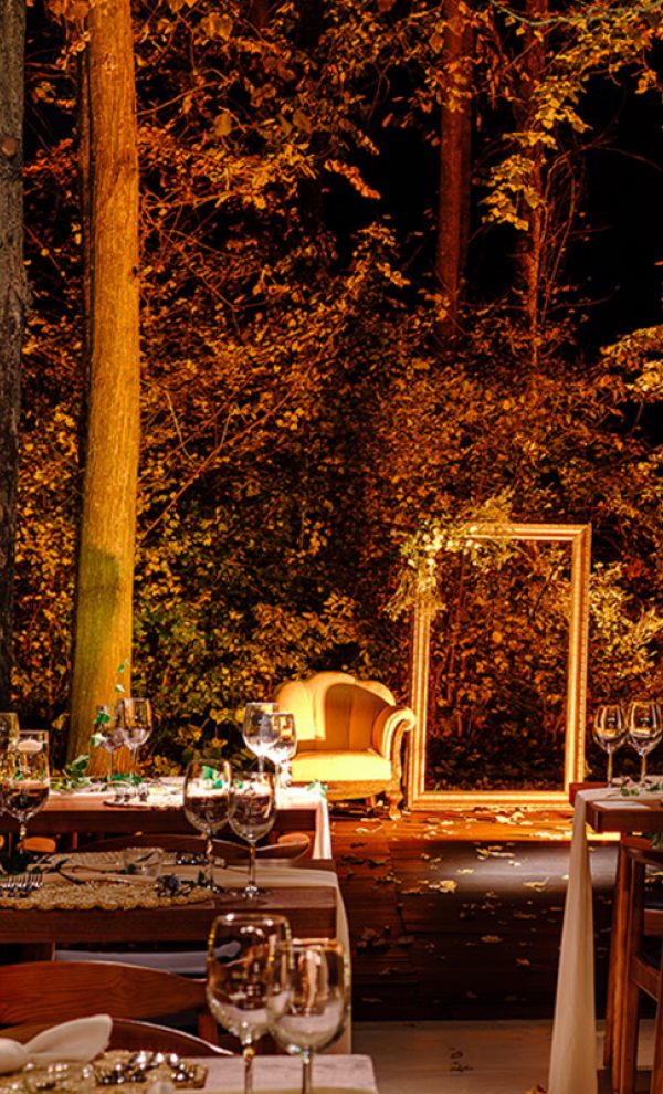 Nunta in padure piscina TreeHouse Lagoon