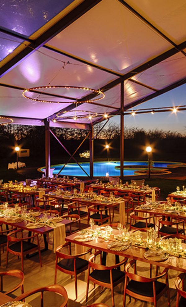 Nunta in padure piscina TreeHouse Lagoon