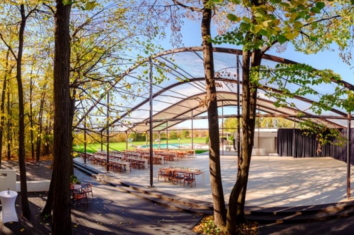 Nunta in padure piscina TreeHouse Lagoon