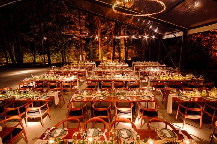 Nunta in padure piscina TreeHouse Lagoon