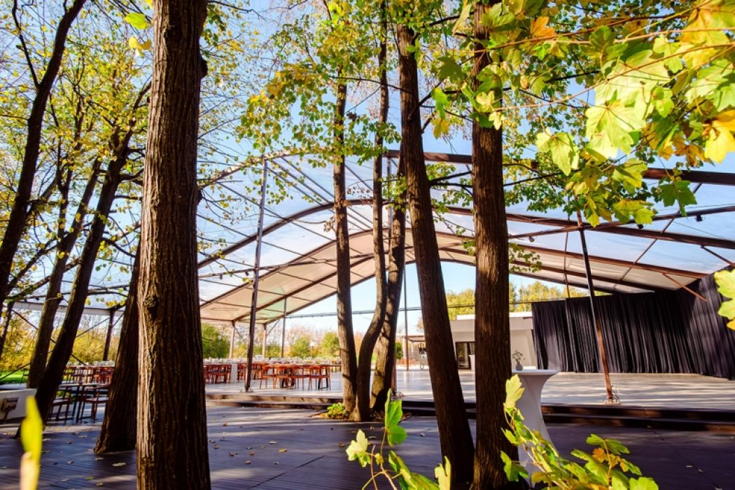 Nunta in padure piscina TreeHouse Lagoon