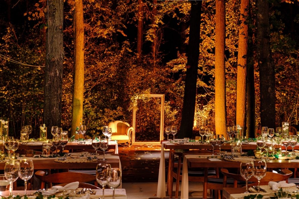 Nunta in padure piscina TreeHouse Lagoon